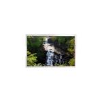 LC650EGY-SHM1 65.0 inch 4K IPS LCD Screen Display for Digital Signage for sale