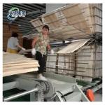 Professional Solution Wood Veneer Drying Machine For Manufacturing Process for sale