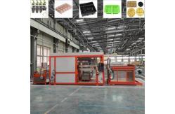 China Fully automatic plastic vacuum forming machines plastic egg tray machine supplier