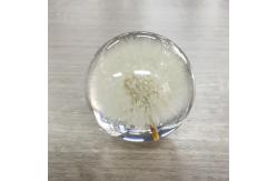 China Acrylic Flower Paperweight  Logo Customized For Decoration supplier