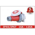 CEE Single Phase Industrial Electrical Sockets And Plugs 63 Amp for sale