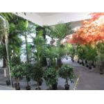 Artificial Plant Final Quality Inspection Services Within 24hours Issue Report