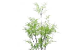 China Simulated Boston Fern Indoor Artificial Potted Floor Plants 150cm supplier