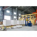 Brick-Making Machine Cheap Brick-Making Machinery - Siemens PLC Control Tray Station AAC Plant Machinery for sale