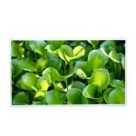 M215HJJ-L30 Rev.C5 1920*1080 Resolution ips screen 21.5 inch TFT LCD lcd display for touch screen display kiosk for sale