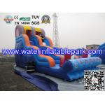 Inflatable Water Slide For Amusement Park  / Inflatable Pool Slide
