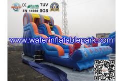 China Inflatable Water Slide For Amusement Park  / Inflatable Pool Slide supplier