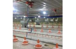 China Poultry automatic drinking integral hanging cup supplier
