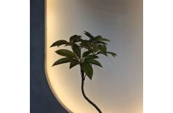China Transform Your Business with 110cm Artificial schefflera tree from Top Suppliers supplier