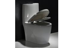China Low Profile One Piece Elongated Toilet Commode Fully Glazed Siphon Jet Flush supplier