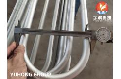 China SA213 /SA213 TP304L/TP316L SEAMLESS U BEND TUBE,  MIN. /AVG .WALL THICKNESS supplier