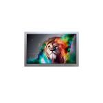 AA070ME11-DA1 LCD Touch Screen 7.0 inch 800*480 lcd display modules for sale