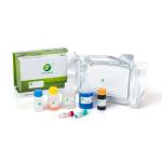 LSY-30040 FMDV NSP Antibody 3ABC ELISA test kit for cattle, sheep, goat, porcines for sale