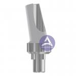 15 /25 Degree Angled Abutment Implant for sale