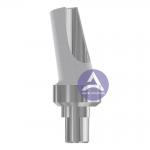 Nobel Biocare Replace® Titanium Angled Abutment  NP 3.5mm/ RP 4.3mm/ WP 5.5mm -- 15°/25° Degree for sale