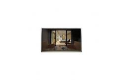 China CM546B3-001 5.5 inch LCD Screen Panel for Mobile Phone supplier
