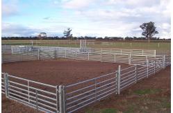 China Portable Silver 6ft X 10ft Wire Cattle Panels Weather Resistant supplier