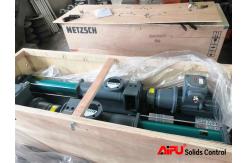China Customizable Decanter Centrifuge Feed Pump For Offshore Platform supplier