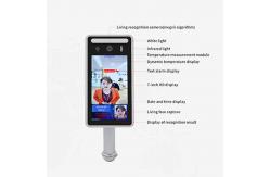 China Infrared 7 Inch Display 800*1280 Face Recognition Thermometer supplier