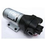 Agricultural 12V/24V DC diaphragm water pump for sale