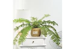 China Pu Artificial Potted Floor Plants For Garden Decoration supplier
