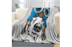 China Double Layer Thick Flannel Blanket 150X200cm With Printing Pattern supplier