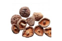 China 100g 250g 1kg 3kg Dry Shiitake Mushroom With BRC IFS ISO HACCP supplier