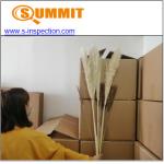 Pampas Grass CE Pre Shipment Inspection Services for sale