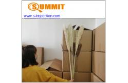 China Pampas Grass CE Pre Shipment Inspection Services supplier