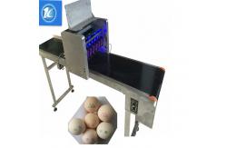 China Large Characters Egg Batch Coding Machine With USB External Database Printing supplier