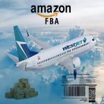 Fast Shipping Route FBA Air Freight To Amazon USA Europe for sale