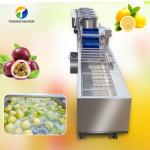 Passion Fruit Bubble Cleaning And Drying Sorting Production Line for sale
