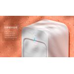LED UVC Chopstick Sterilizer For Kitchen Ultraviolet Sanitizer