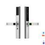 IP65 Waterproof Smart Door Lock Aluminum Alloy Electronic House Door Locks for sale