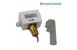 China Stainless Steel Paddle Water Flow Switch supplier