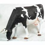 Realistic Animal Statue Waterproof Life Size Cow Sculpture Customized Available for sale