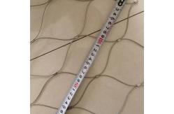China Stainless Steel Wire Rope Mesh Net / Flexible Stainless Steel Rope Mesh / Zoo Mesh supplier