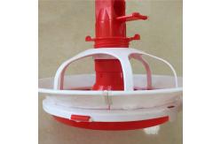 China Duck and goose feeding tray supplier