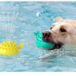 Multifunctional Electric Dog Swimming Toy For Molar Teeth Cleaning for sale