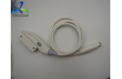 China Micro Convex Endocavity 11mm Ultrasound Transducer Probe GE E8C-RS supplier
