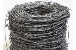 China Strong Reinforced 2 Strand 4 Point Galvanised Steel Barbed Wire supplier