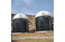 China Biomass And Biogas Energy Biogas Plant For Electricity Generation supplier