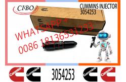 China Diesel Fuel Injector 4913325 3054218 3054253 For NT855 NTA855 Engine supplier
