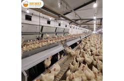 China Breeder equipment supplier