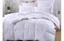 China 50% 150x210cm Duck And Down Quilt supplier