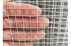 China 50M Galvanized Welded Wire Mesh Roll With Free Sample supplier