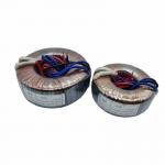 100W Toroidal Transformer for Audio Power Inverter 115V-240V Input
