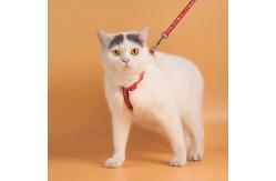 China Adjustable Anti Break Off Cat Traction Rope S M L XL supplier