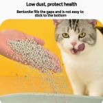 OEM Eco Friendly Natural Clumping Bentonite Cat Litter Sands ODM for sale