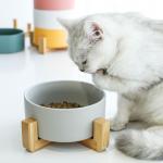 Unique Colorful 15.5*7cm Cat Ceramic Bowl Pet Food Feeder for sale
